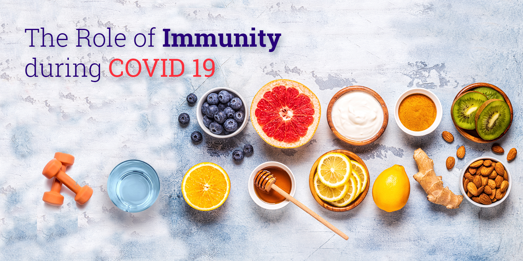 The Role of Immunity during COVID 19